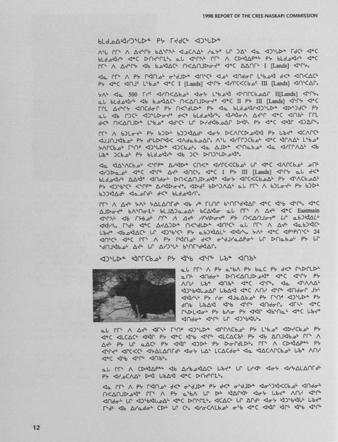 CNC REPORT 1998_Naskapi - page 12