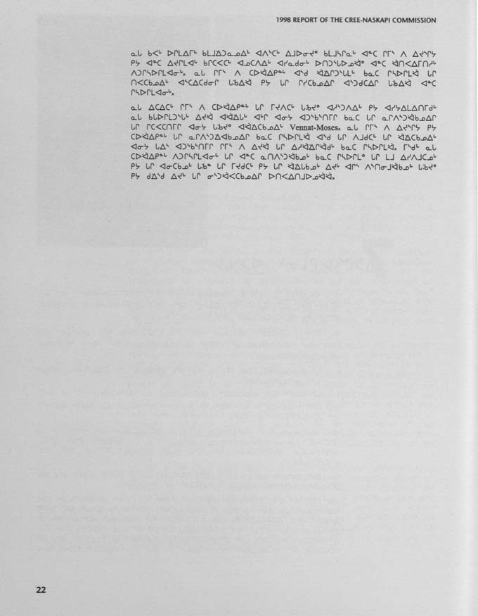 CNC REPORT 1998_Naskapi - page 22