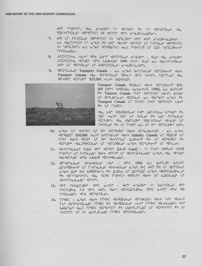 CNC REPORT 1998_Naskapi - page 27