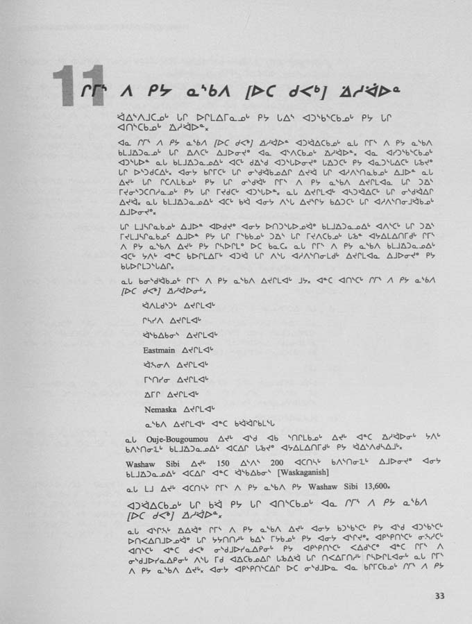 CNC REPORT 1998_Naskapi - page 33