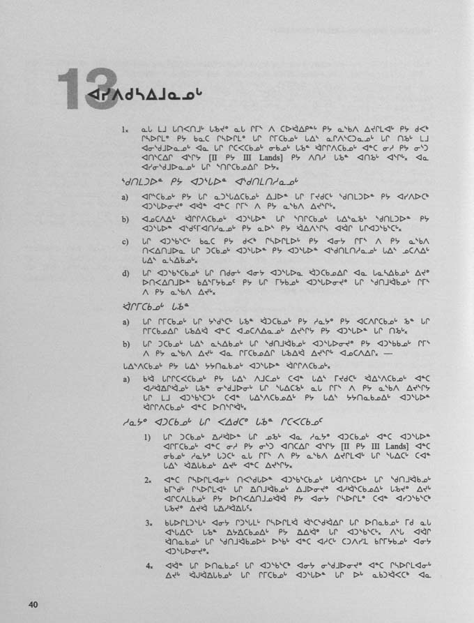 CNC REPORT 1998_Naskapi - page 40