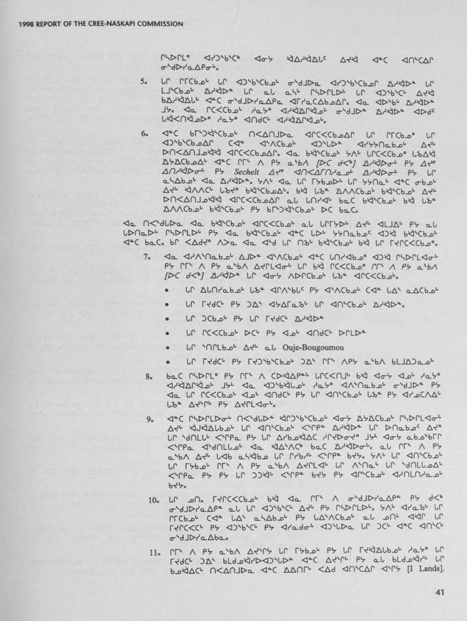 CNC REPORT 1998_Naskapi - page 41