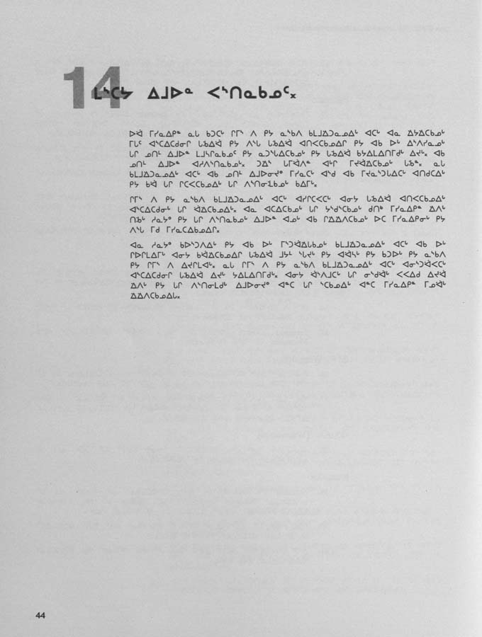 CNC REPORT 1998_Naskapi - page 44